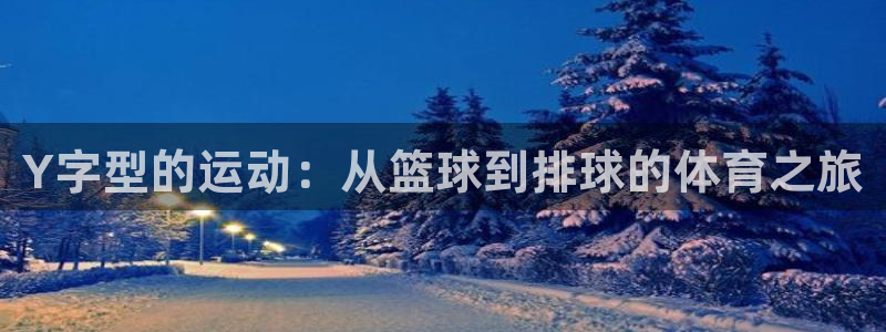 SO米NBA：Y字型的运动：从篮球到排球的体育之旅