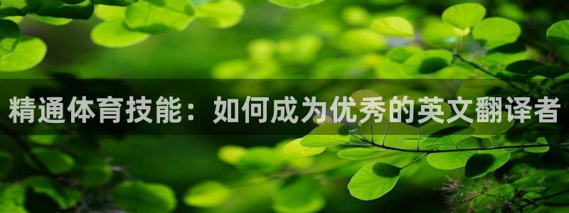 so米体育app下载官方最新版本