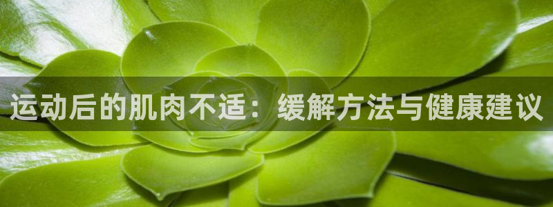 so米篮球：运动后的肌肉不适：缓解方法与健康建议