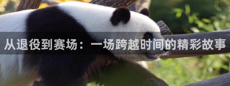 so米NBA常规赛：从退役到赛场：一场跨越时间的精彩故事